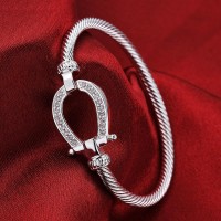 Horseshoe Silver Clasp Bangle Bracelet